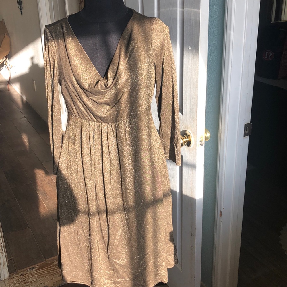 NWT Michael Stars Sz 2 Ava Drape Shimmer Dress